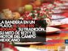 La bandera en un plato: El chile en nogada, su tradición, su mito de 1821 y el motor del campo mexicano