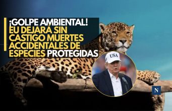 EU deja sin castigo muertes accidentales de especies protegidas