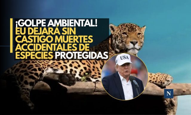 EU deja sin castigo muertes accidentales de especies protegidas