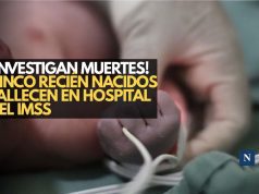 ¡Investigan muertes! Cinco recién nacidos fallecen en hospital del IMSS