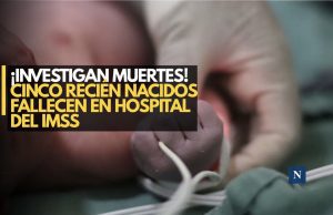 ¡Investigan muertes! Cinco recién nacidos fallecen en hospital del IMSS