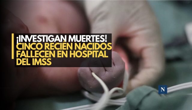 ¡Investigan muertes! Cinco recién nacidos fallecen en hospital del IMSS