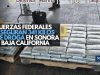 Fuerzas federales aseguran 341 kilos de droga en Sonora y Baja California