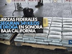 Fuerzas federales aseguran 341 kilos de droga en Sonora y Baja California