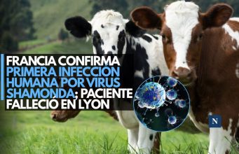Francia confirma primera infección humana por virus Shamonda; paciente falleció en Lyon