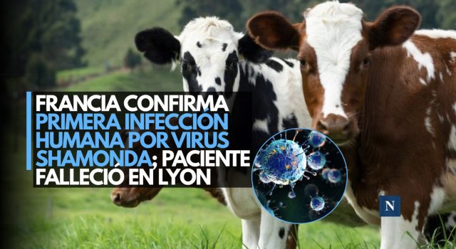 Francia confirma primera infección humana por virus Shamonda; paciente falleció en Lyon