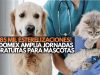 ¡185 mil esterilizaciones! Edomex amplía jornadas gratuitas para mascotas
