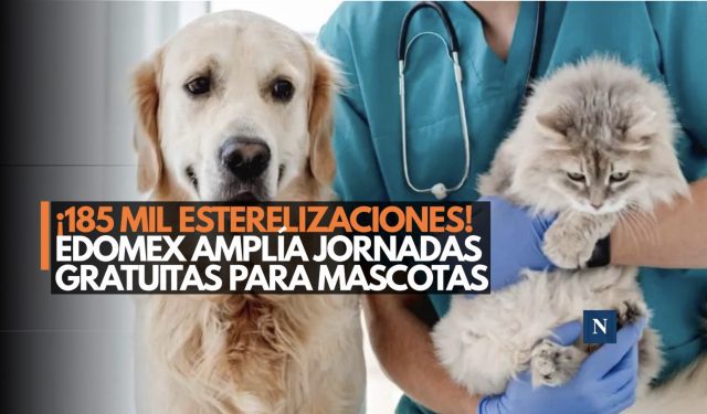 ¡185 mil esterilizaciones! Edomex amplía jornadas gratuitas para mascotas