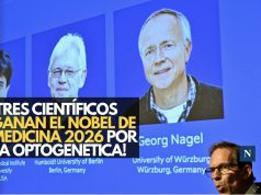 ¡Tres científicos ganan el Nobel de Medicina 2026 por la optogenética!