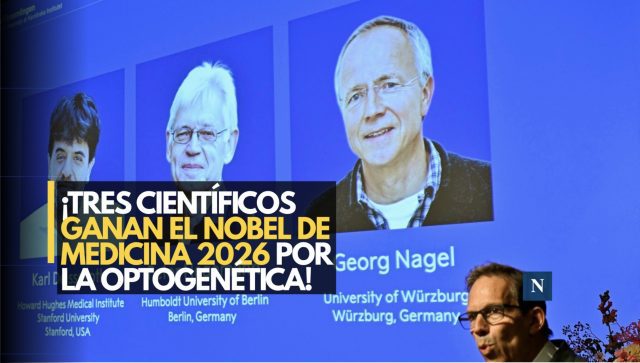¡Tres científicos ganan el Nobel de Medicina 2026 por la optogenética!