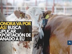 ¡Sonora refuerza el blindaje ganadero! Busca duplicar exportaciones a EU