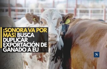 ¡Sonora refuerza el blindaje ganadero! Busca duplicar exportaciones a EU