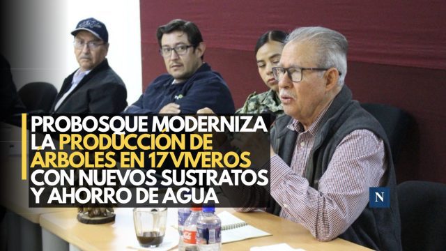 Probosque moderniza la producción de árboles en 17 viveros con nuevos sustratos y ahorro de agua