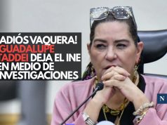 ¡Adiós vaquera! Guadalupe Taddei deja el INE en medio de investigaciones