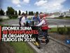 ¡Edomex suma 88 trasplantes de órganos y tejidos en 2026!
