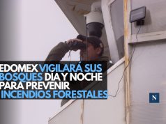 Edomex vigilará sus bosques día y noche para prevenir incendios forestales
