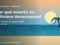 ¿Por qué invertir en la Riviera Veracruzana? Punta Tiburón, la oportunidad frente al mar